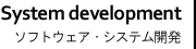 システム開発