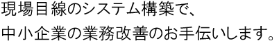 現場目線のシステム構築で、中小企業の業務改善のお手伝いします。