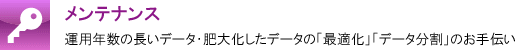 メンテナンス | 運用年数の長いデータ・肥大化データの「最適化」「データ分割」