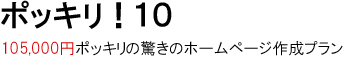 ポッキリ！１０は、105,000円ポッキリの驚きのホームページ作成プラン。