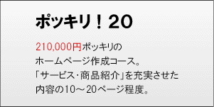 ポッキリ！20