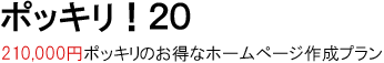 ポッキリ！20は、210,000円ポッキリのお得なホームページ作成プラン。